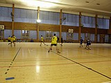 Obrázek v galerii