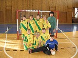 Obrázek v galerii