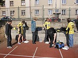 Obrázek v galerii