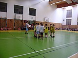 Obrázek v galerii