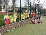 Obrázek v galerii