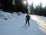 Obrázek v galerii