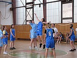 Obrázek v galerii