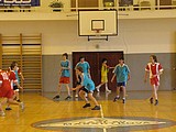 Obrázek v galerii
