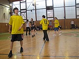 Obrázek v galerii
