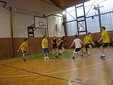 Obrázek v galerii