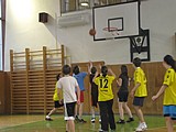 Obrázek v galerii