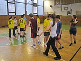Obrázek v galerii