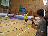 Obrázek v galerii