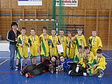 Obrázek v galerii