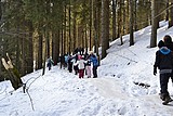 Obrázek v galerii