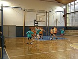 Obrázek v galerii