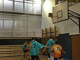 Obrázek v galerii
