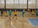 Obrázek v galerii