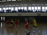 Obrázek v galerii