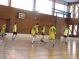 Obrázek v galerii