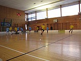 Obrázek v galerii