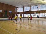 Obrázek v galerii
