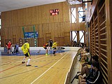 Obrázek v galerii