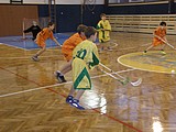 Obrázek v galerii