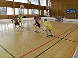 Obrázek v galerii