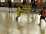 Obrázek v galerii