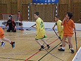 Obrázek v galerii