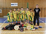 Obrázek v galerii