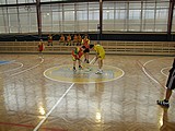 Obrázek v galerii