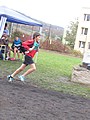 Obrázek v galerii
