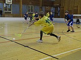 Obrázek v galerii