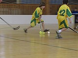 Obrázek v galerii