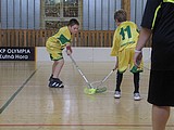 Obrázek v galerii