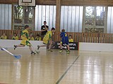Obrázek v galerii