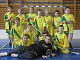 Obrázek v galerii