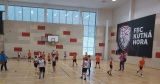 Obrázek v galerii
