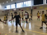 Obrázek v galerii