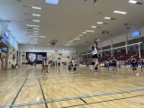 Volejbal 6.-9. dívky