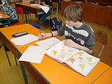 Obrázek v galerii