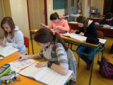 Obrázek v galerii