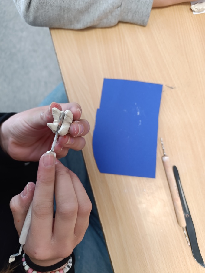 Přírodověda v 5. A