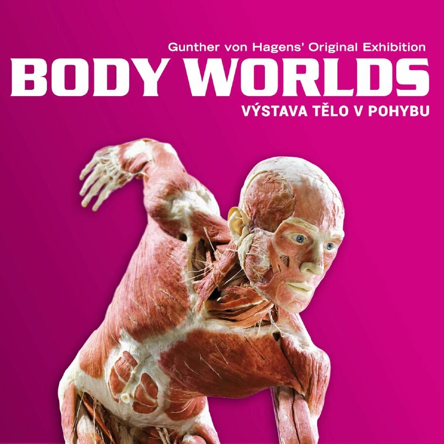 Osmáci na výstavě Body Worlds v Praze