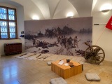 Obrázek v galerii