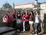 Obrázek v galerii