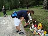 Obrázek v galerii
