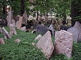 Obrázek v galerii