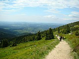 Obrázek v galerii