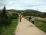 Obrázek v galerii