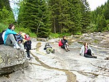 Obrázek v galerii