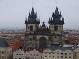 Obrázek v galerii